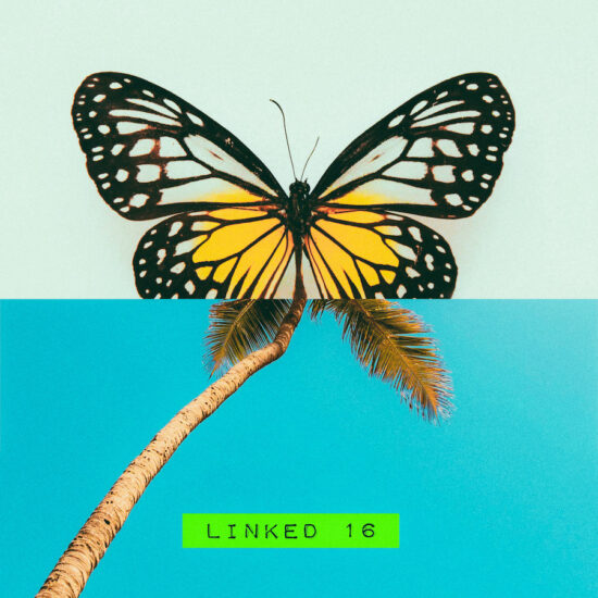 NEOLINK016