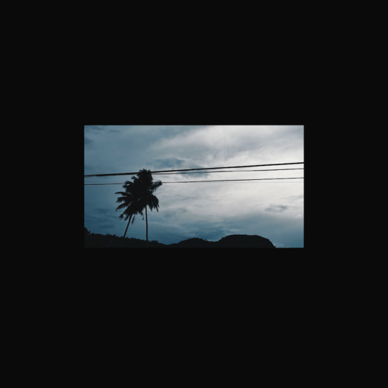 NSGNL020