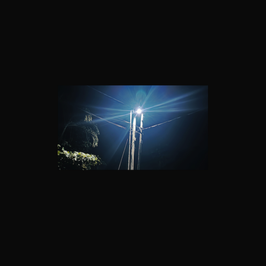 NSGNL020